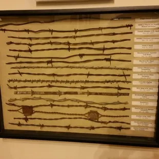 a small barbed wire collection