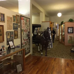 Horse &amp; Carriage