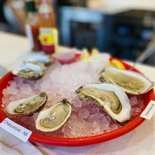 Half Dozen Oysters - assorted