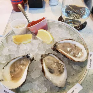 Premium Oysters