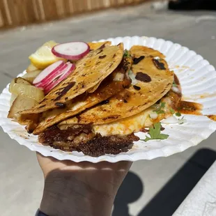 Tacos de barbacoa with everything