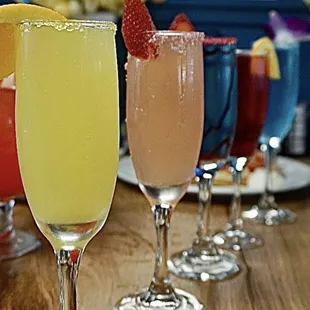 Classic and Guadalupe mimosa