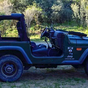 How we go get wood from the forest