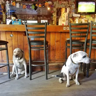 Cassie and Wyatt relaxing at the bar outside of the campgrounds