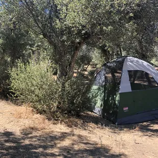 Flat, canopied spot for the tent.