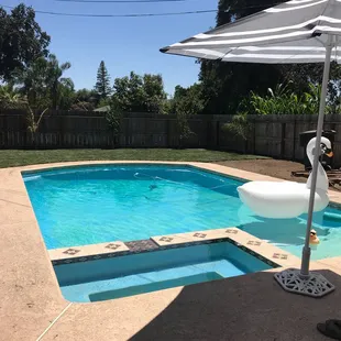 My crystal clear pool during the summer.