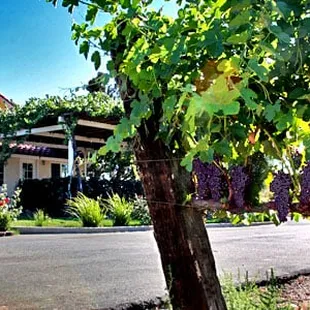 outside