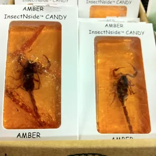 Scorpion anyone?