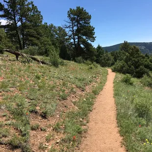 Some parts are indeed not shaded - mainly ravens roost the right arm