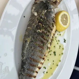 Brazzino