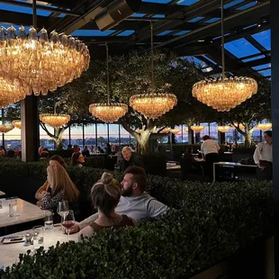 Beautiful chandeliers combined with rustic, up-lit live trees.