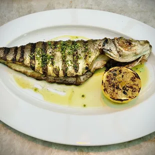 Branzino