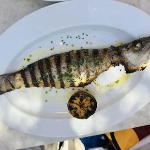 Whole Grilled Branzino