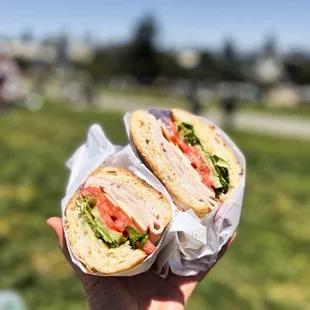 a hand holding a sandwich