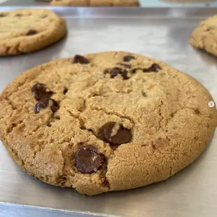 Delicious cookies baked fresh everyday! We have Chocolate Chip and Oatmeal Raisin!