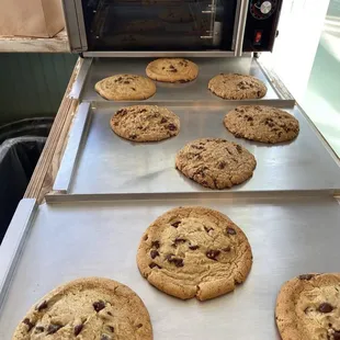 Fresh baked cookies made daily! We have Chocolate Chip and Oatmeal Raisin!