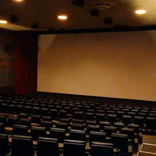 Fully restored Grand Auditorium with a 60' Giant Screen!
