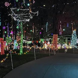 Christmas Lights