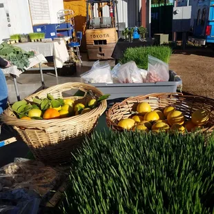 two baskets of fruit and vegetables