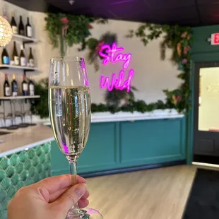 a hand holding a glass of wine