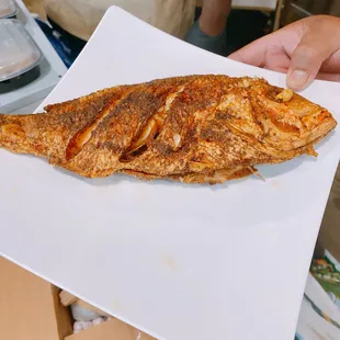 Fried Snapper