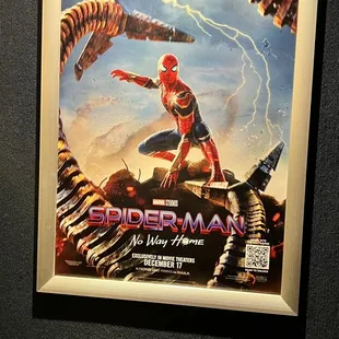Spider man poster