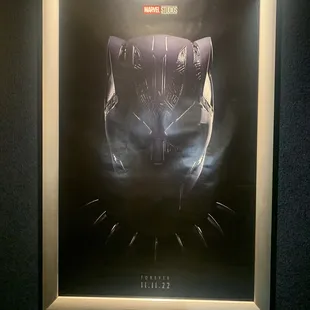 Best. Movie! Ever!!!! Came to see the man and I wasn't disappointed. By the movie or my experience.