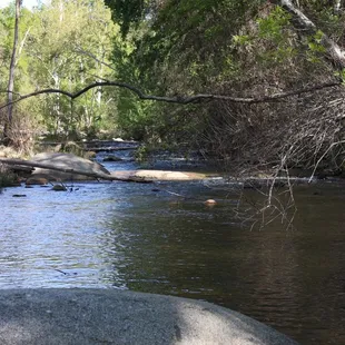 A River bellow the property