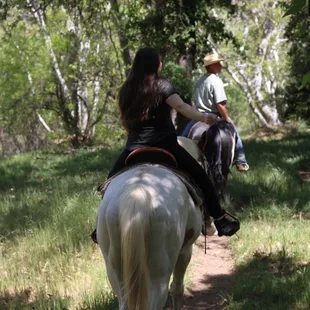 Trail within the property.