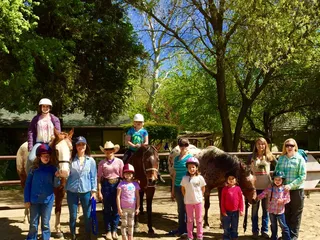 Wood 'N' Horse Training Stables
