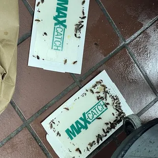 Just one section of the kitchen