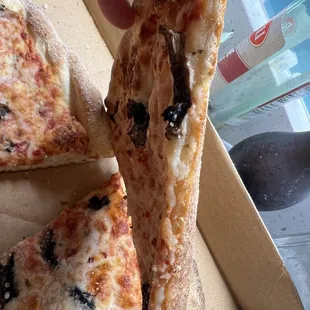 Extra cheese and mushroom pizza