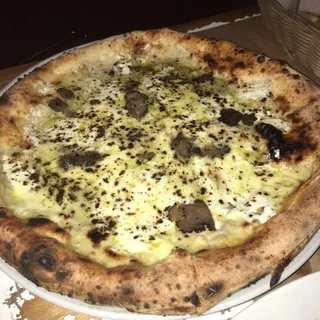 Nobile