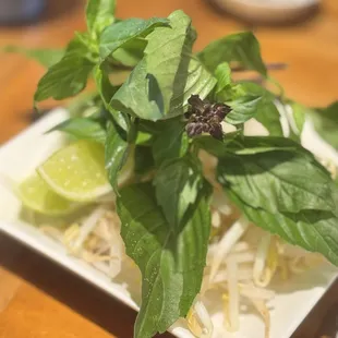 Sides - Bean sprouts, Thai basil, and lime