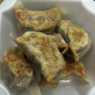 Yummy fried dumplings