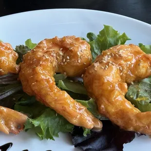 SHRIMP TNT