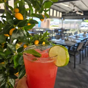 Fresh   Strawberry, Watermelon, Mint Reftesher.