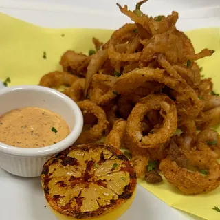 Fried Calamari