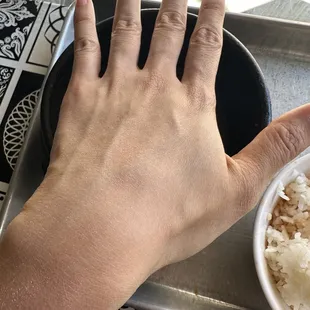 a hand holding a bowl of rice