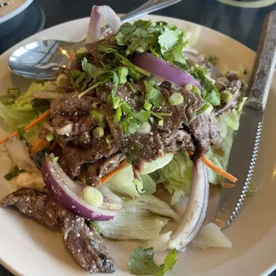 Thai Beef salad! Very good!