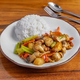 Cashew Nut