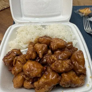 Yum Yum Chicken - Single