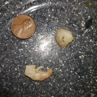 This was all the shrimp in the shrimp egg roll!!