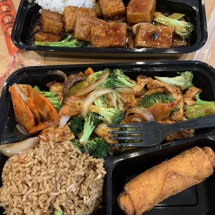 Sa-Cha special &amp; General Tso's Tofu.