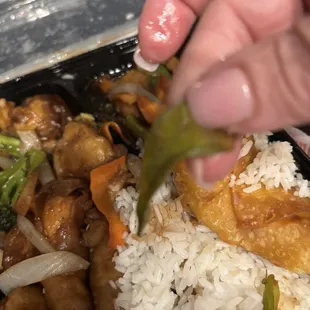 This is an obliterated snow pea.