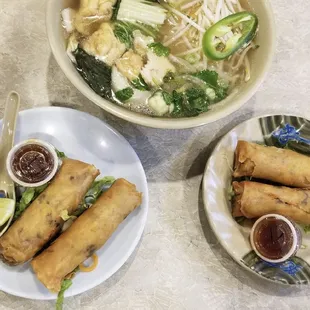 These Vegetable Spring Rolls are delicious...hence the double order.