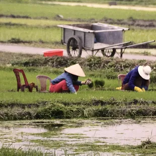 A customer gift for the wall, 02.06.2019.