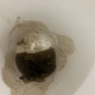 Food remnants left after tea poured out