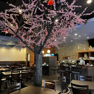 a cherry blossom tree in a restaurant
