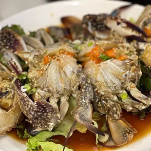 oysters, shellfish, oysters and mussels, mussels, food